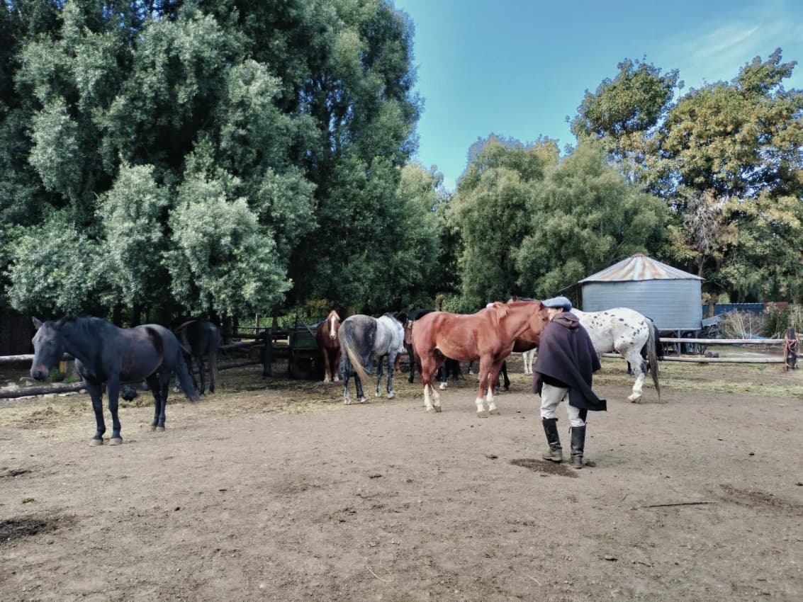 Cabalgata Wesley